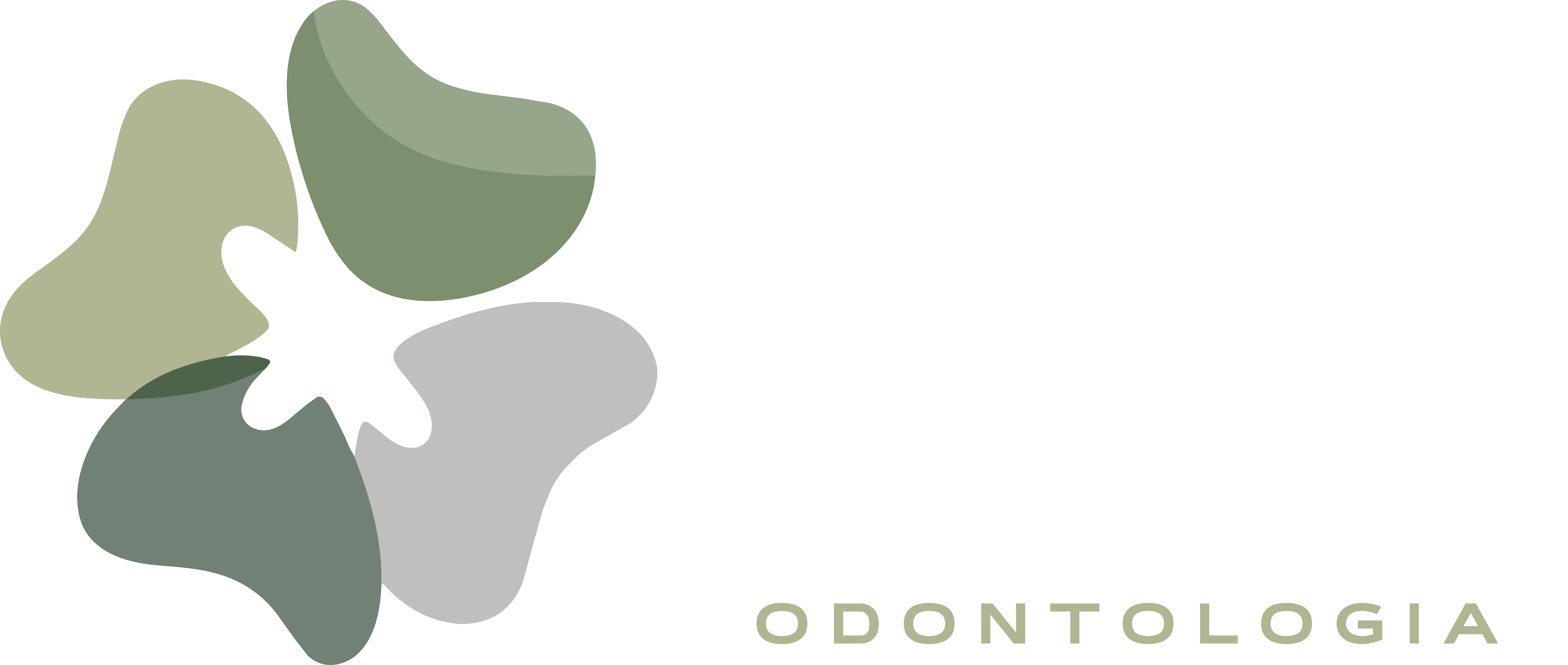 IDF Odontologia